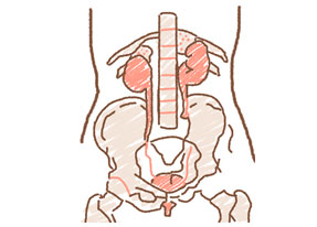 腎臓の機能が低下することによって肘や膝などの間接に症状が出るタイプ
